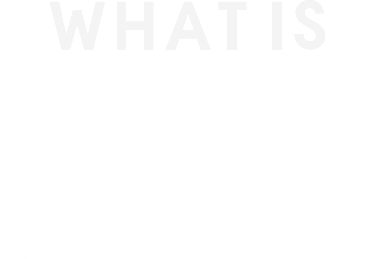 WHAT IS CAREER VISION